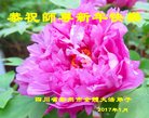 ֹ,ɶ󷨵ӹףʦ(23)