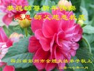 ֹ,ɶ󷨵ӹףʦ(23)