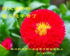 ֹ,ɶ󷨵ӹףʦ(23)