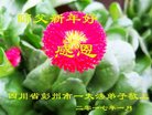 ֹ,ɶ󷨵ӹףʦ(23)