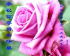 ֹ,ɶ󷨵ӹףʦ(23)