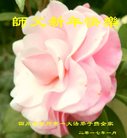 ֹ,ɶ󷨵ӹףʦ(23)