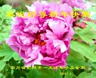 ֹ,ɶ󷨵ӹףʦ(23)