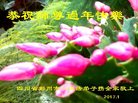 ֹ,ɶ󷨵ӹףʦ(23)