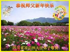 法轮功,四川大法弟子恭祝师尊新年好(21条)