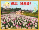 法轮功,四川大法弟子恭祝师尊新年好(21条)