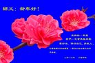 ֹ,մ󷨵ӹףʦ(21)