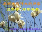 法轮功,保定大法弟子恭祝师尊新年好(22条)