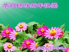 ֹ,ϴ󷨵ӹףʦ(20)