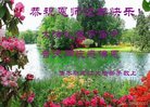 ֹ,ľ˹󷨵ӹףʦ(19)