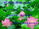ֹ,ľ˹󷨵ӹףʦ(19)