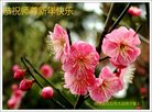 ֹ,ӱ󷨵ӹףʦ(24)