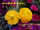 ֹ,󷨵ӹףʦ(22)