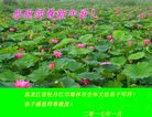 ֹ,󷨵ӹףʦ(22)
