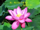 ֹ,ӱ󷨵ӹףʦ(19)