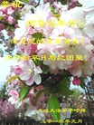 ֹ,󷨵ӹףʦ(23)