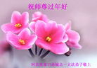 ֹ,żҿڴ󷨵ӹףʦ(23)