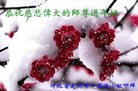 ֹ,󷨵ӹףʦ(27)