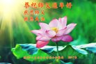 法轮功,辽宁大法弟子恭祝师尊新年好(23条)