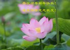 ֹ,ľ˹󷨵ӹףʦ(21)