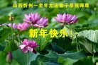 法轮功,山西大法弟子恭祝师尊新年好(22条)