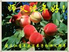 ֹ,󷨵ӹףʦ(23)