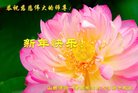 法轮功,山西大法弟子恭祝师尊新年好(22条)