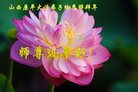 法轮功,山西大法弟子恭祝师尊新年好(22条)