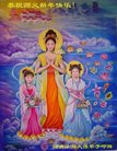 法轮功,河南大法弟子恭祝师尊新年好(25条)