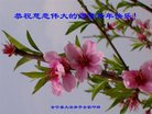 ֹ,󷨵ӹףʦ(20)