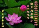 ֹ,󷨵ӹףʦ(22)