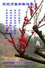 法轮功,廊坊大法弟子恭祝师尊新年好(28条)