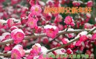 ֹ,󷨵ӹףʦ(27)
