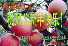 ֹ,󷨵ӹףʦ(28)