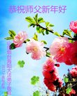 Published on 1/24/2017 ���ֹ�,���󷨵��ӹ�ףʦ�������(22��)