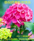 Published on 1/24/2017 ���ֹ�,���󷨵��ӹ�ףʦ�������(22��)