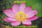 ֹ,󷨵ӹףʦ(23)