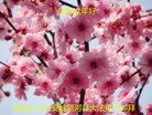 ֹ,󷨵ӹףʦ(23)