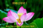 法轮功,黑龙江大法弟子恭祝师尊新年好(23条)