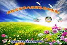法轮功,河南大法弟子恭祝师尊新年好(26条)
