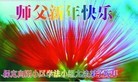 ֹ,󷨵ӹףʦ(20)