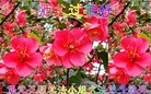 ֹ,󷨵ӹףʦ(20)