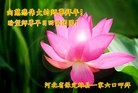 ֹ,󷨵ӹףʦ(20)