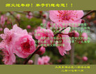 ֹ,󷨵ӹףʦ(23)