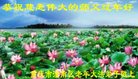 ֹ,󷨵ӹףʦ(24)