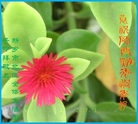 ֹ,ϴ󷨵ӹףʦ(25)