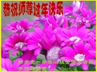 ֹ,ϴ󷨵ӹףʦ(25)