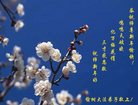 ֹ,ʡ󷨵ӹףʦ(21)