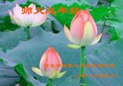 ֹ,żҿڴ󷨵ӹףʦ(23)