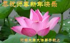 ֹ,ϴ󷨵ӹףʦ(25)